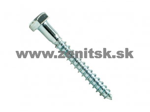 Skrutka do dreva so šesťhrannou hlavou 6mm